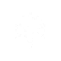 Flow State