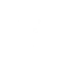 Combat Veteran