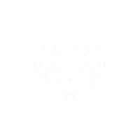 Ritual Of Death