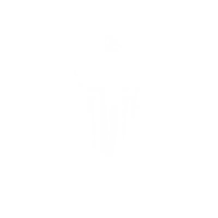 Thonk