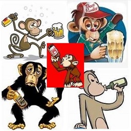 Drunkin Monkeys